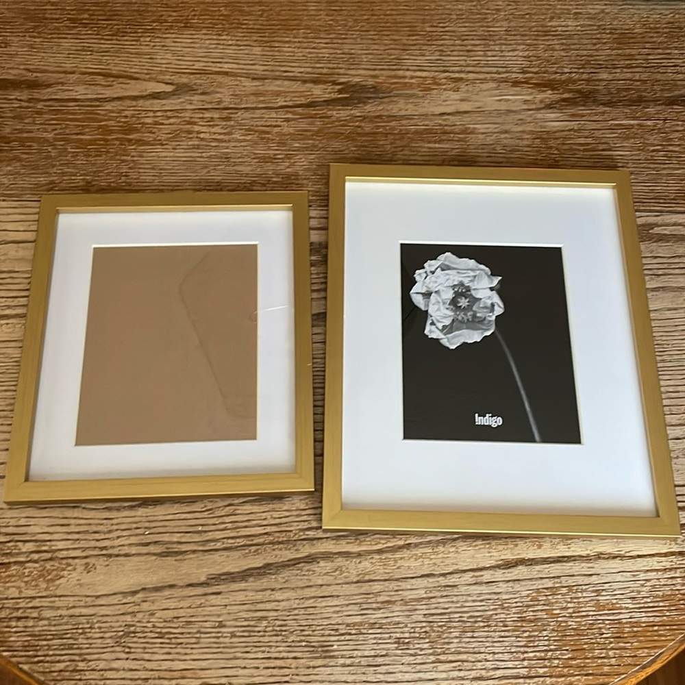 Discontinued Indigo gold gallery frames art boho modern set of 2